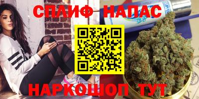 стафф Лениногорск